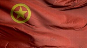 中国共产主义青年团入团申请书格式范文